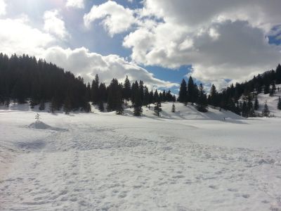 _20140316_101743.jpg