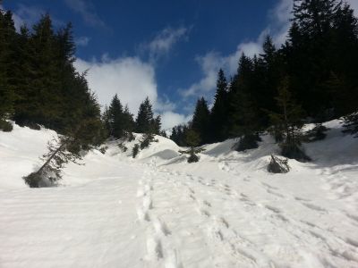_20140316_103428.jpg
