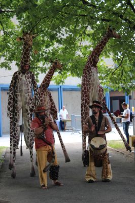 _2016-09-03_Festa_Campestre_2016_28Gregorio29_2842229.JPG