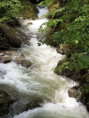 _20160604_144114_JPG.jpg