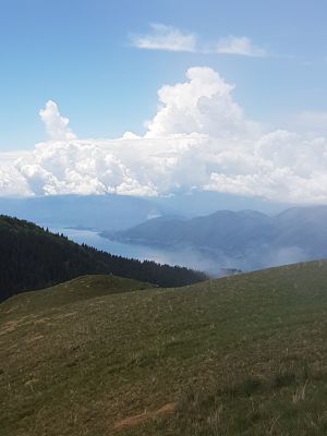 _20160605_132234_JPG.jpg