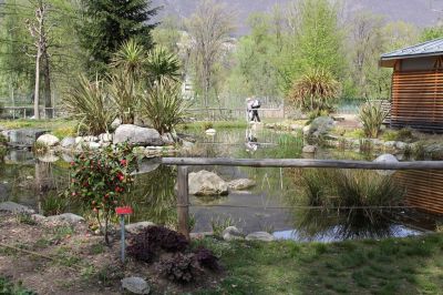 _IMG_0396.jpg