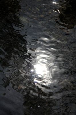 _IMG_0446.jpg