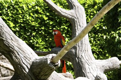 _IMG_2050.jpg