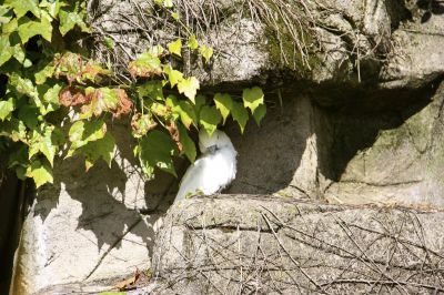 _IMG_2054.jpg
