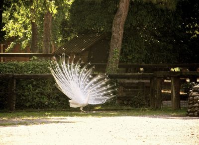 _IMG_2057.jpg