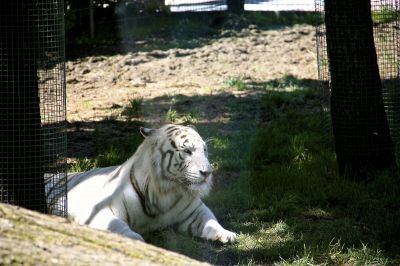 _IMG_2193.jpg