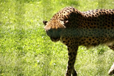 _IMG_2214.jpg