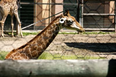 _IMG_2240.jpg