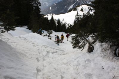 _IMG_2328.jpg
