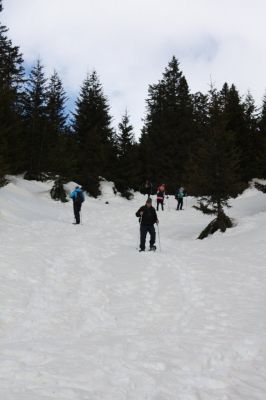 _IMG_2333.jpg