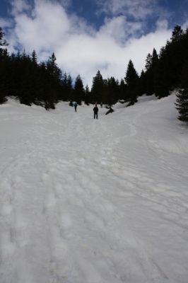 _IMG_2334.jpg