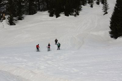 _IMG_2335.jpg