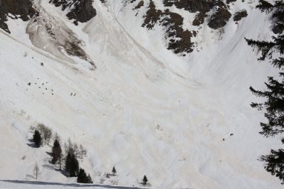 _IMG_2355.jpg
