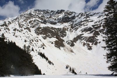 _IMG_2356.jpg