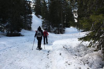 _IMG_2366.jpg