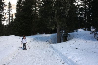 _IMG_2367.jpg