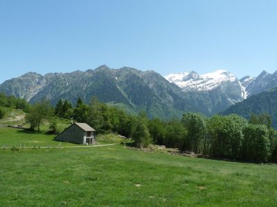 _P1100035.jpg