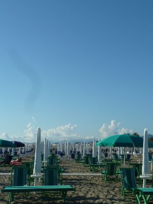 _P1100497.jpg