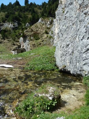 _P1110864.jpg