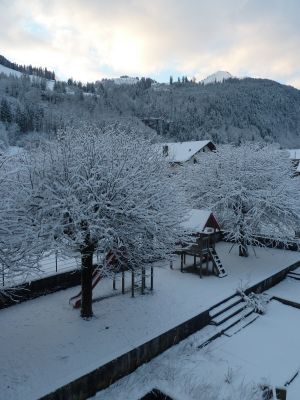_P1130629.JPG