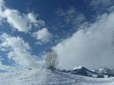 _P1130656.JPG