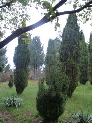 _P1140261.JPG