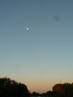_P1160056.JPG