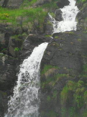 _SDC12523.jpg
