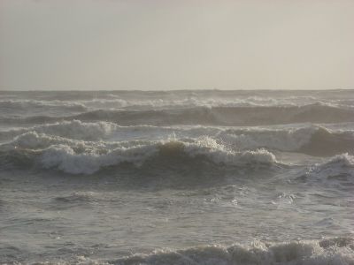 _SN851004.jpg