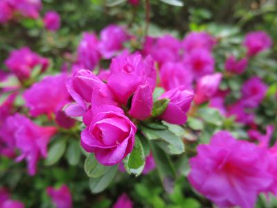 _parco_eisenhut_023.JPG