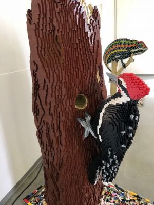 mostra_lego_2019_15.jpg