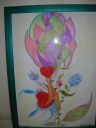 _DSCN7588~0.jpg