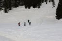 _IMG_2335.jpg