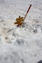 _IMG_2364.jpg