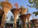 _expo2015_086.jpg