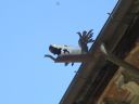 _orta_san_giulio_028.JPG