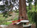 _parco_eisenhut_009.JPG