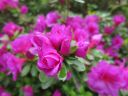 _parco_eisenhut_023.JPG